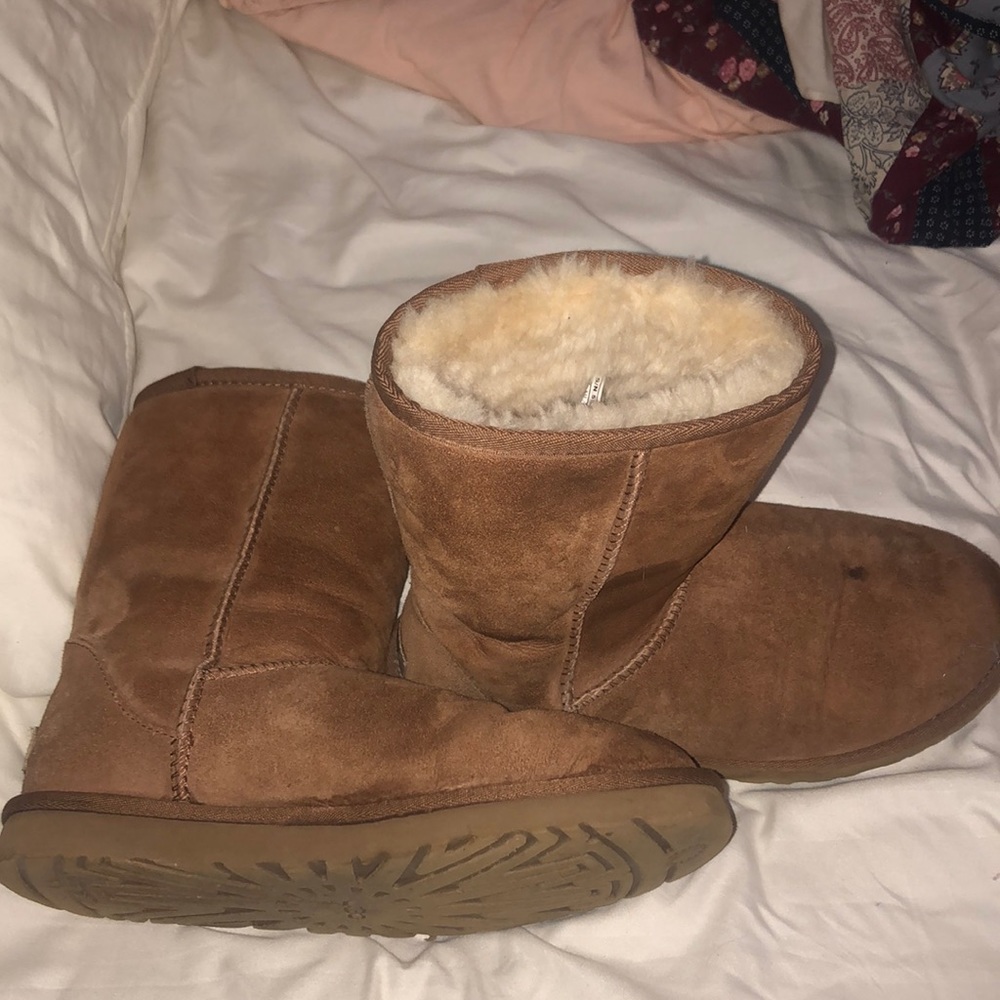 Short brown uggs